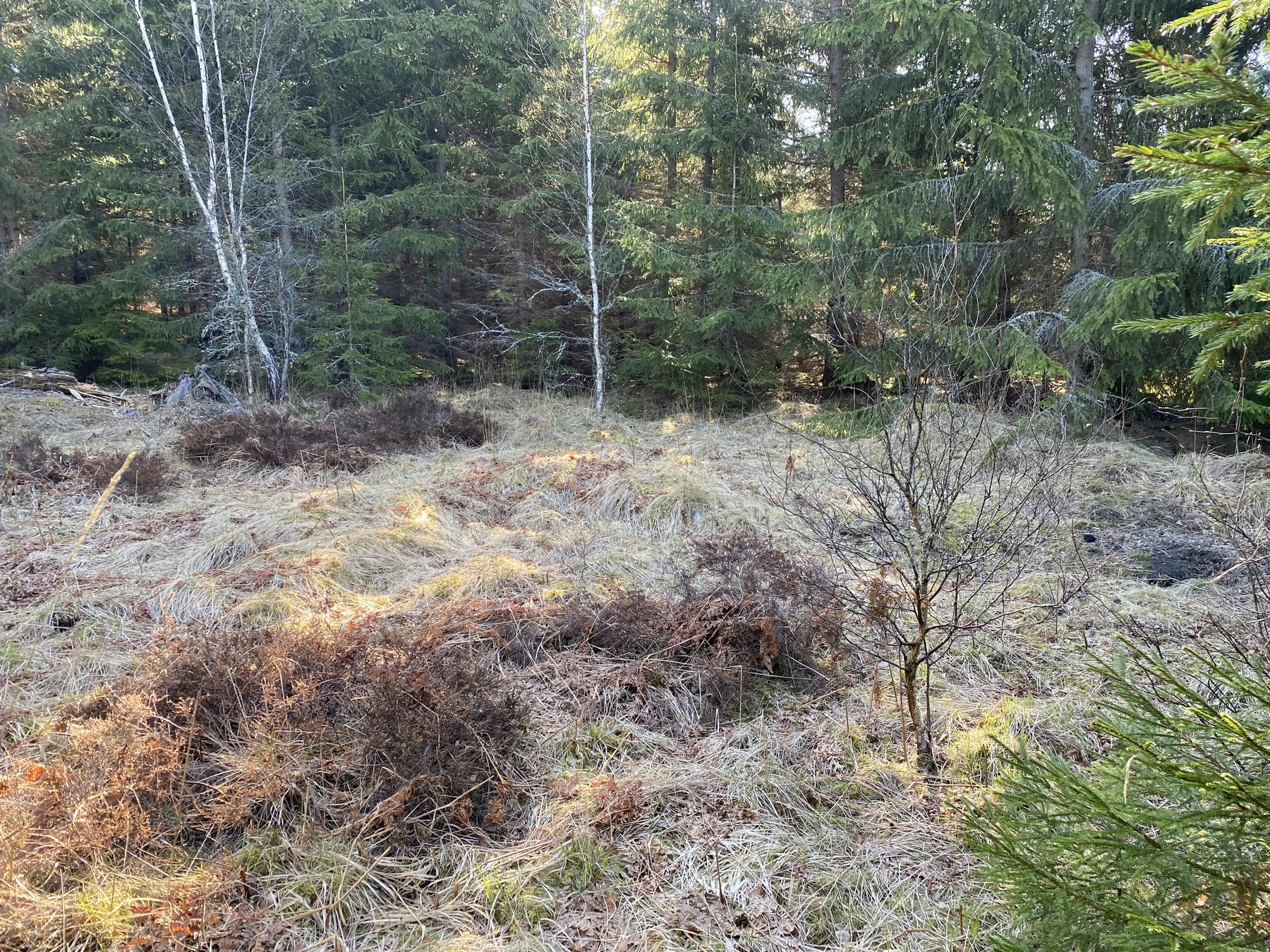 Lämning efter bostad