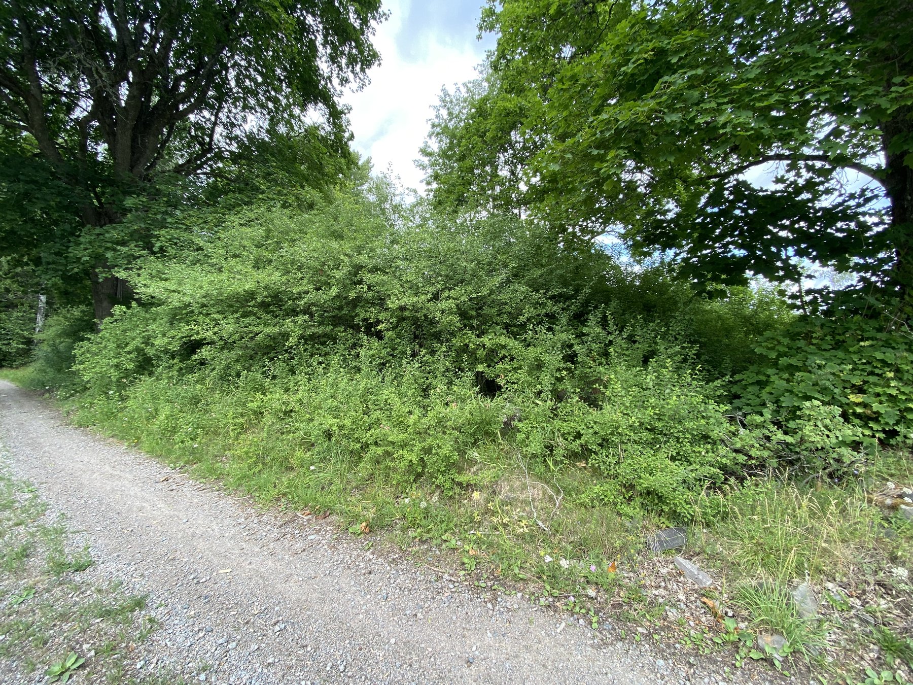 Värman (Prästvärman), Lämning efter bostad, övervuxen
