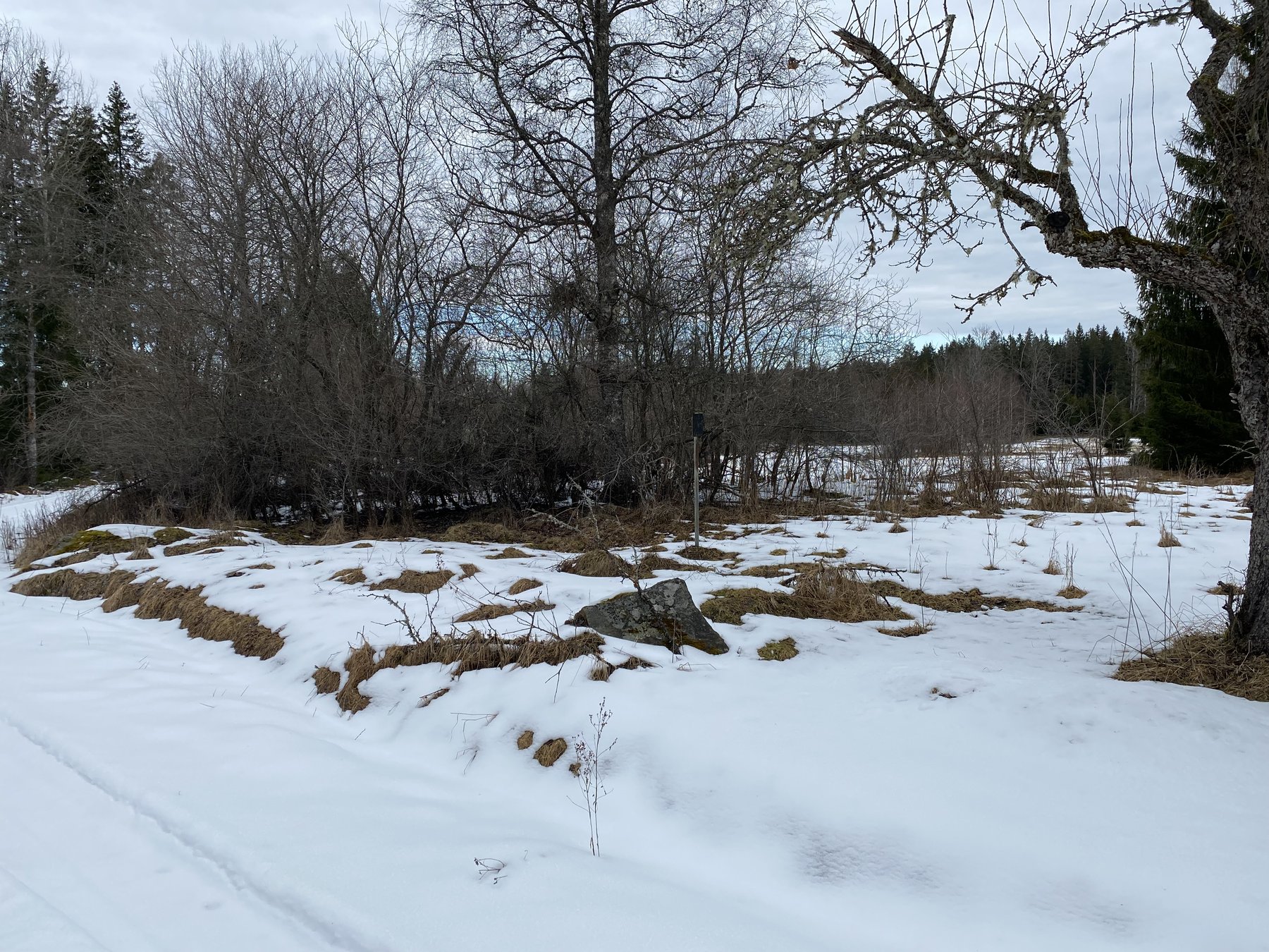 Hustomt vid Piltorpet