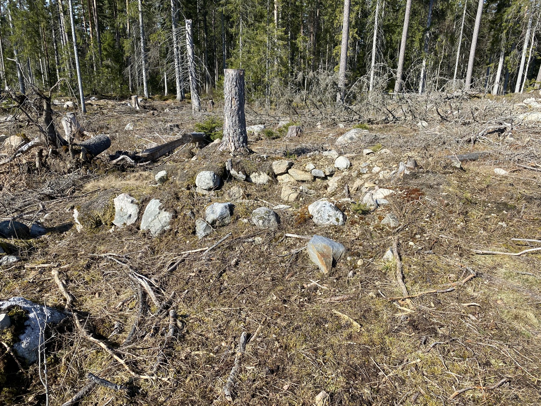 Skogens, lämning efter jordkällare