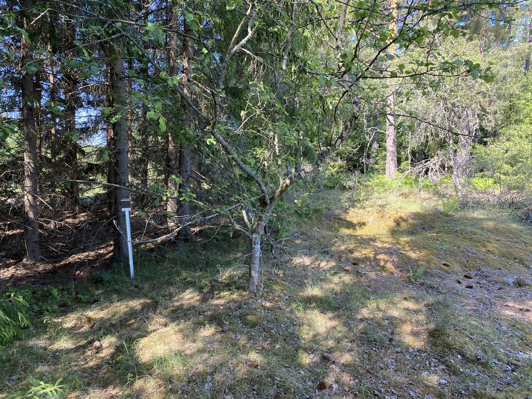 Platsenen för bostaden Grantorpet