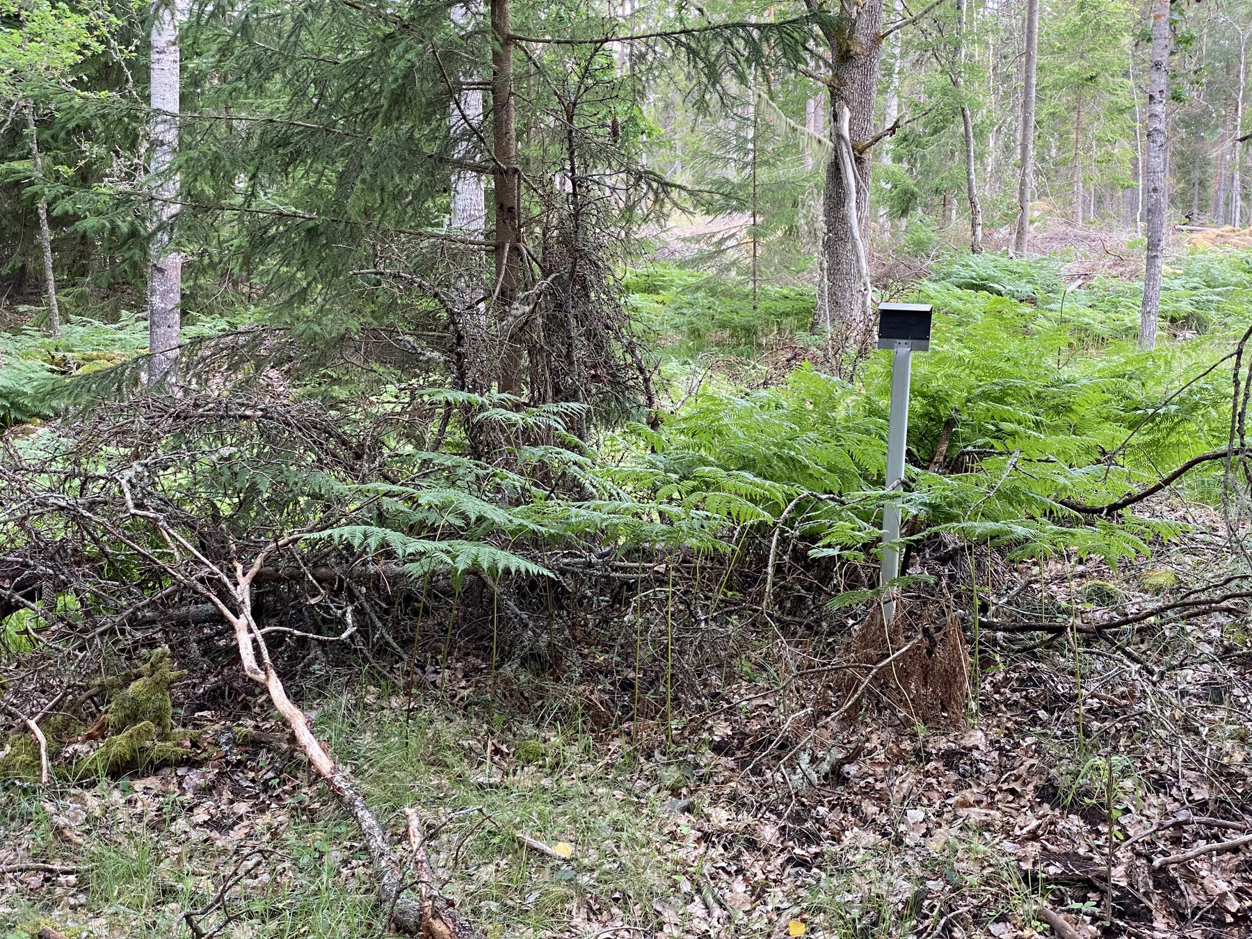 Lämning efter bostad