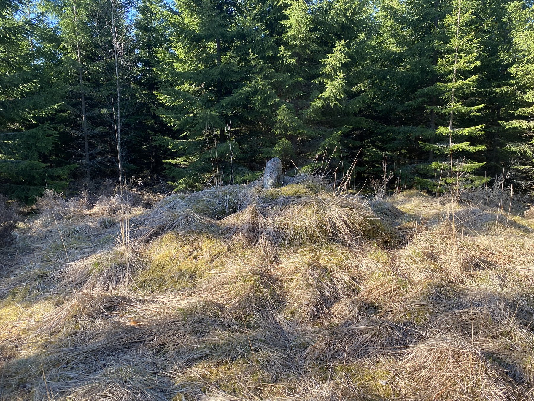 Gränsmärke mellan Björke och Hälla