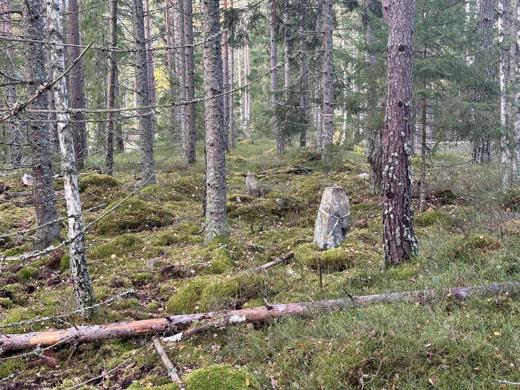 Gränsmarken Ö om Hällestadvägen.