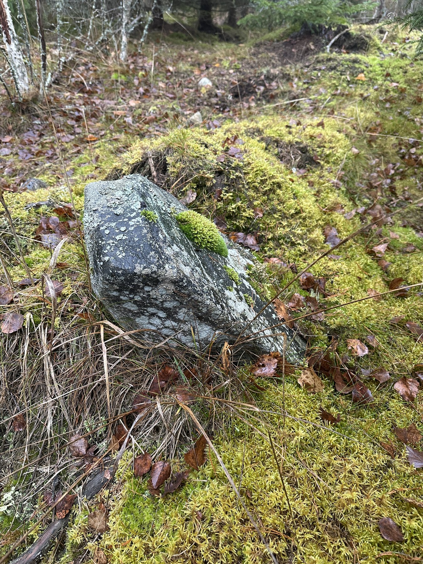 Gränsmärke mellan ägor inom Björke