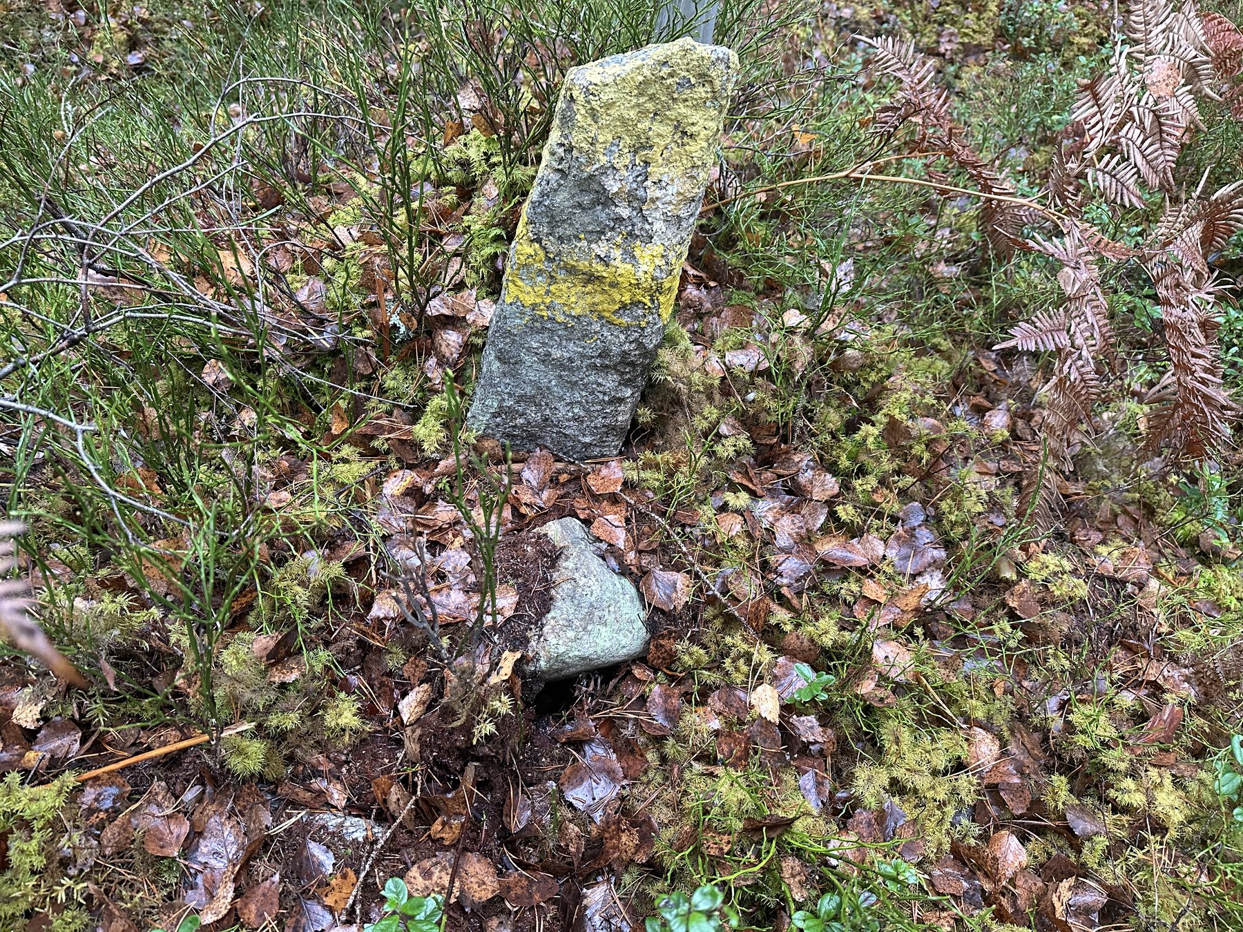 Gränsmärke mellan Regna och Asketorp