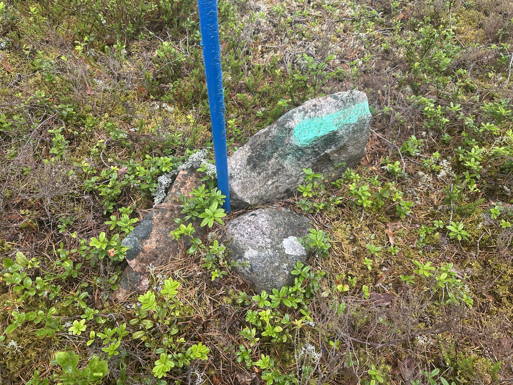 Gränsmärke mellan Börstorps ägor