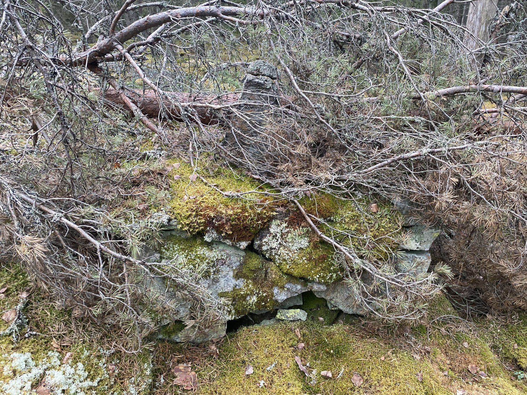 Gränsmärke mellan Mörtsjö och Djursla ägor