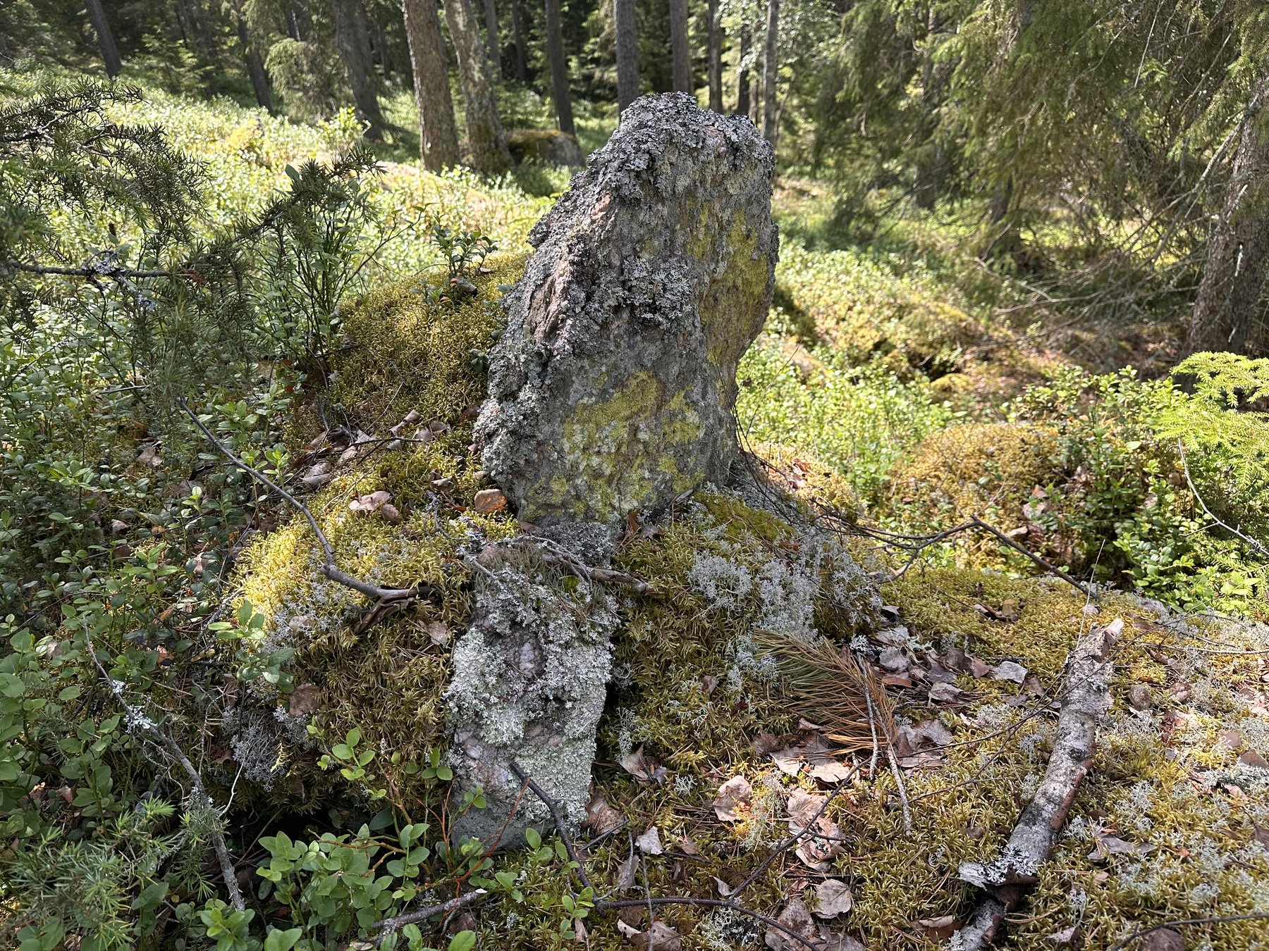 Gränsmärke. Troligtvis markerande Hjeltelunds marker.
