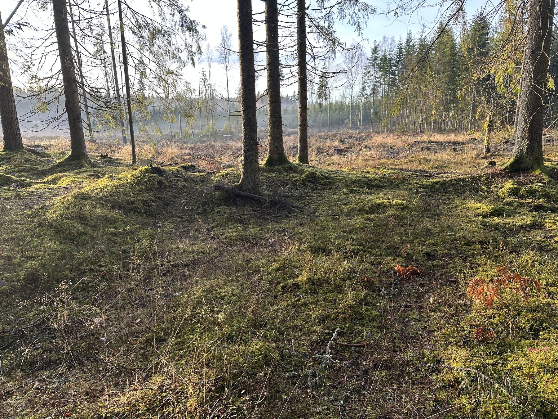 Lämning efter resmila/Kolbotten