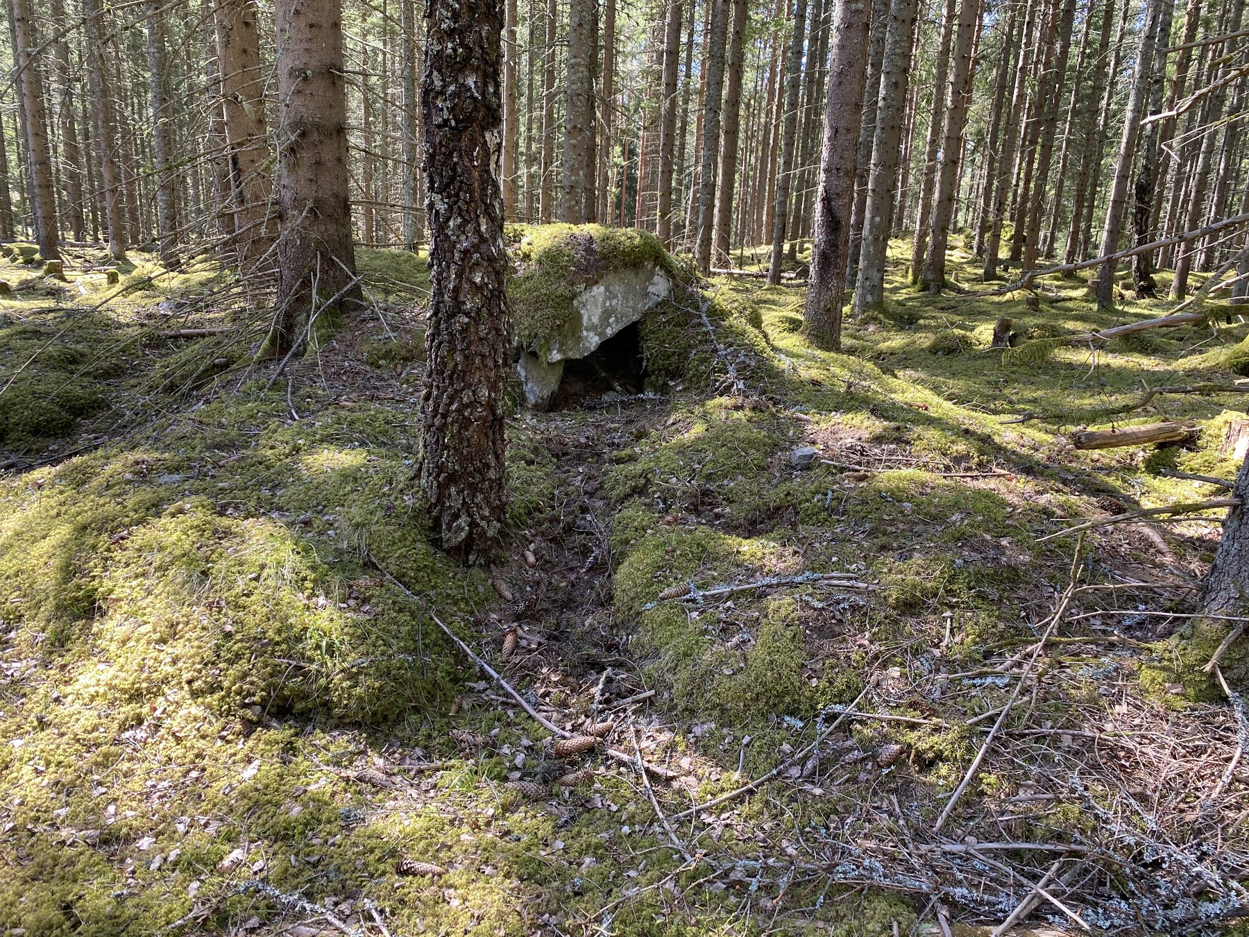 Lämning efter kolarkoja