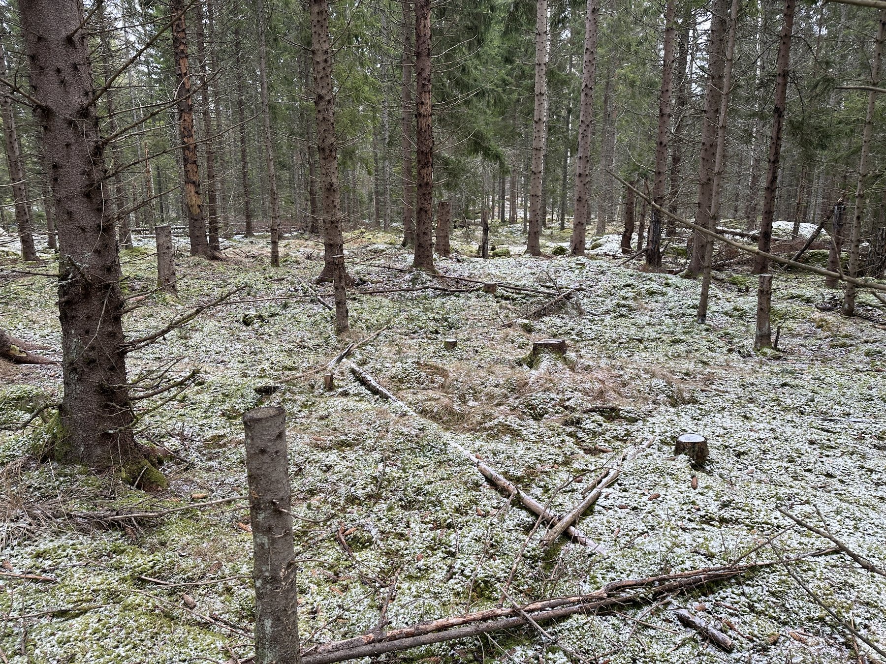 Lämning efter resmila/Kolbotten