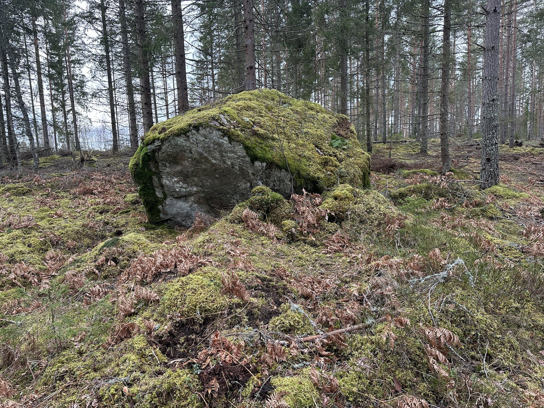 Lämning efter kolakoja