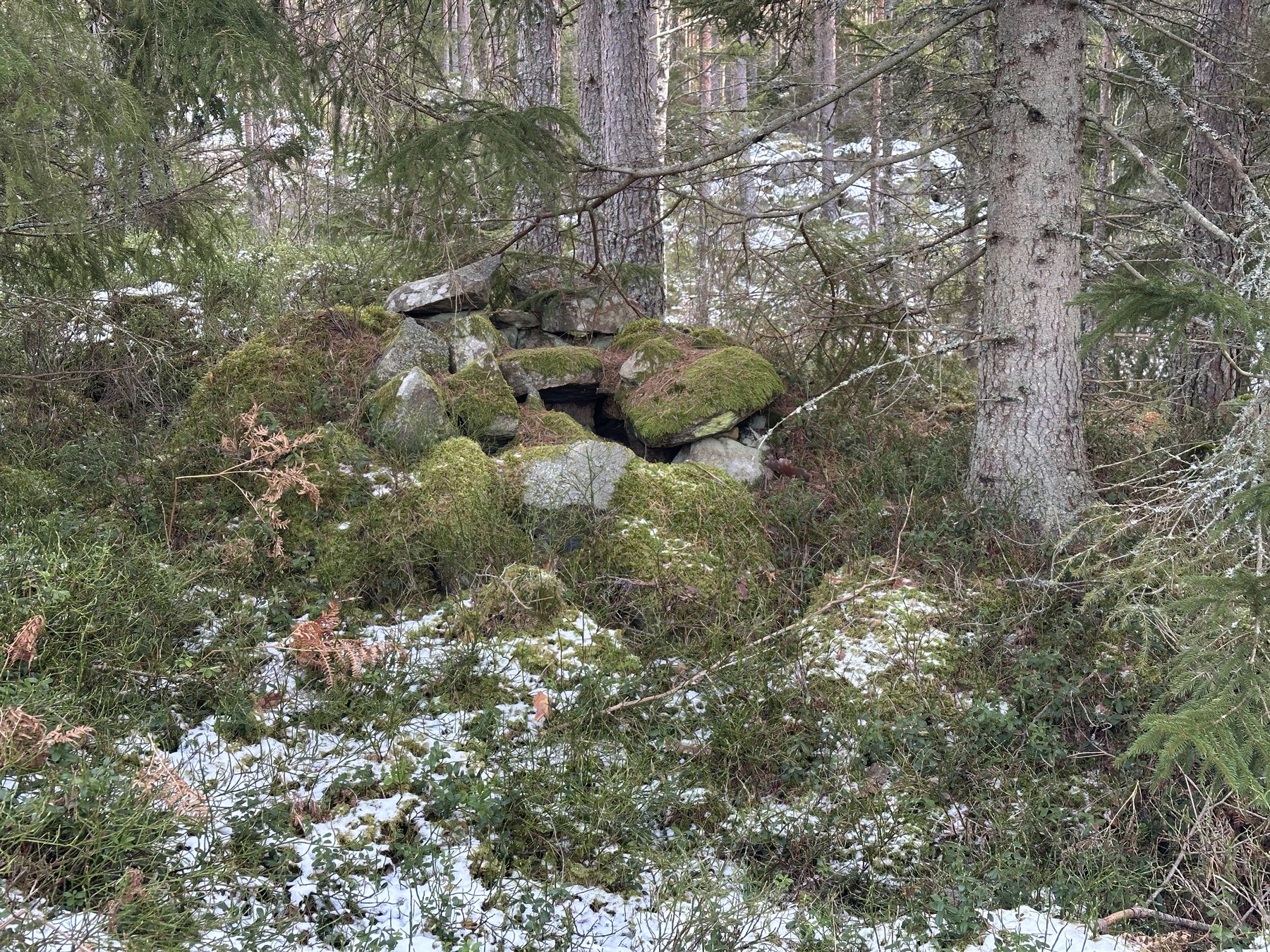 Lämning efter kolarkoja