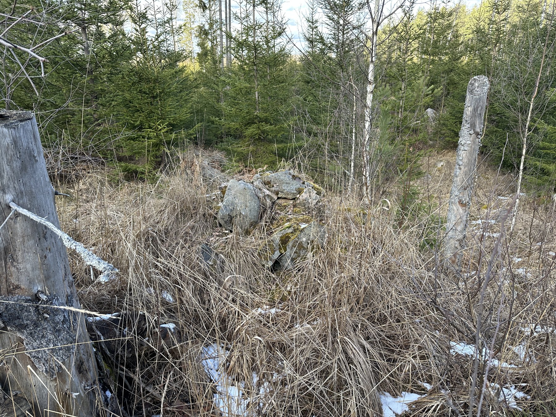 Lämning efter kolarkoja