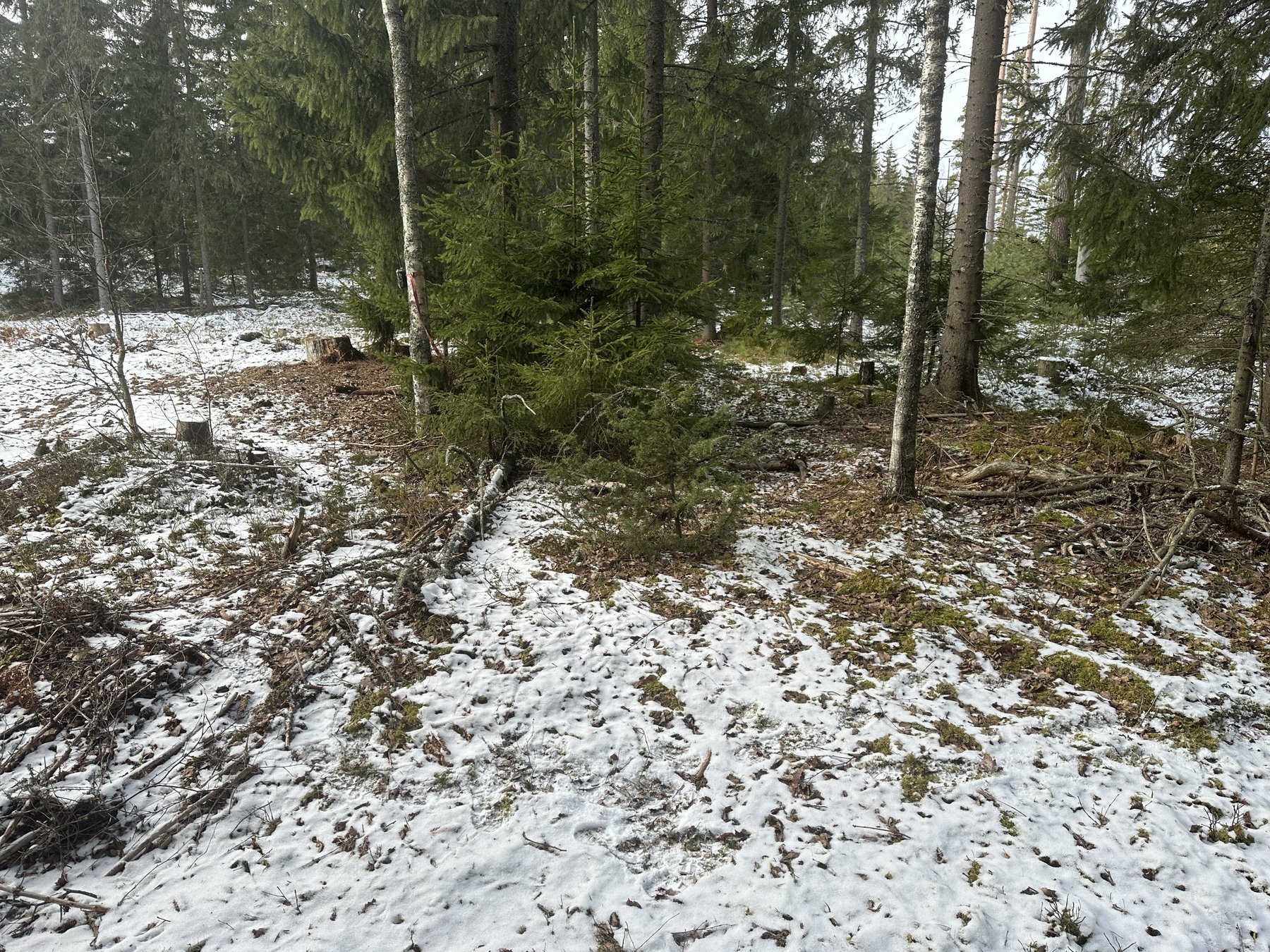 Lämning efter remila