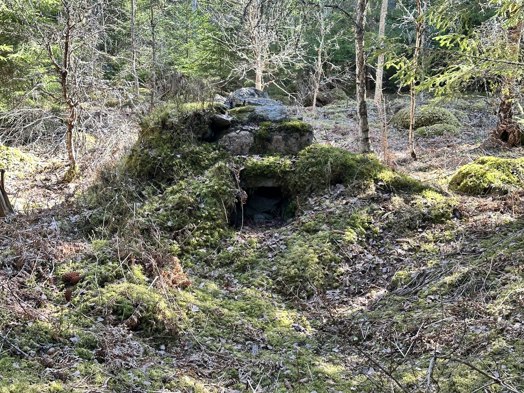 Lämning efter kolarkoja