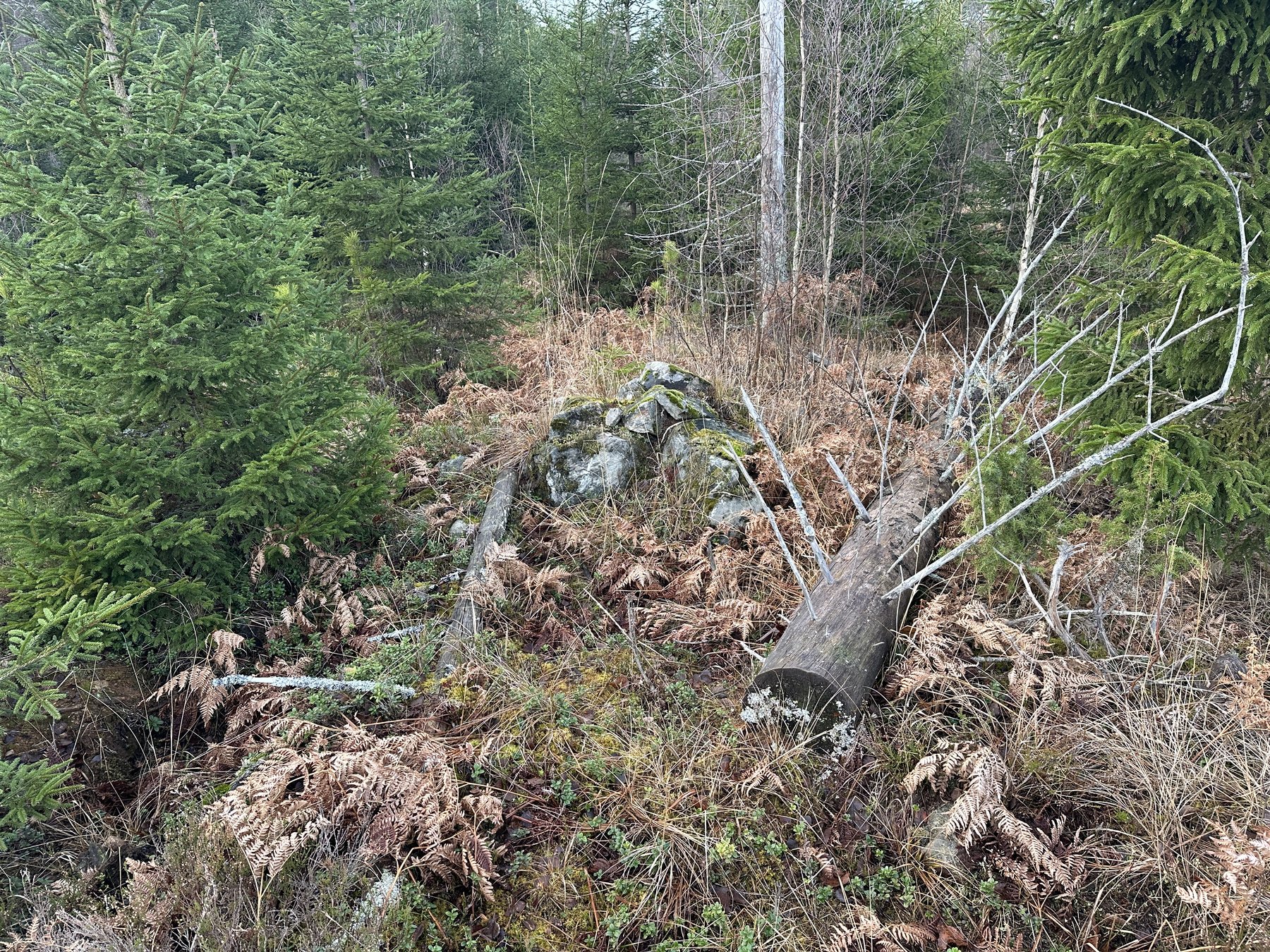 Lämning efter kolarkoja
