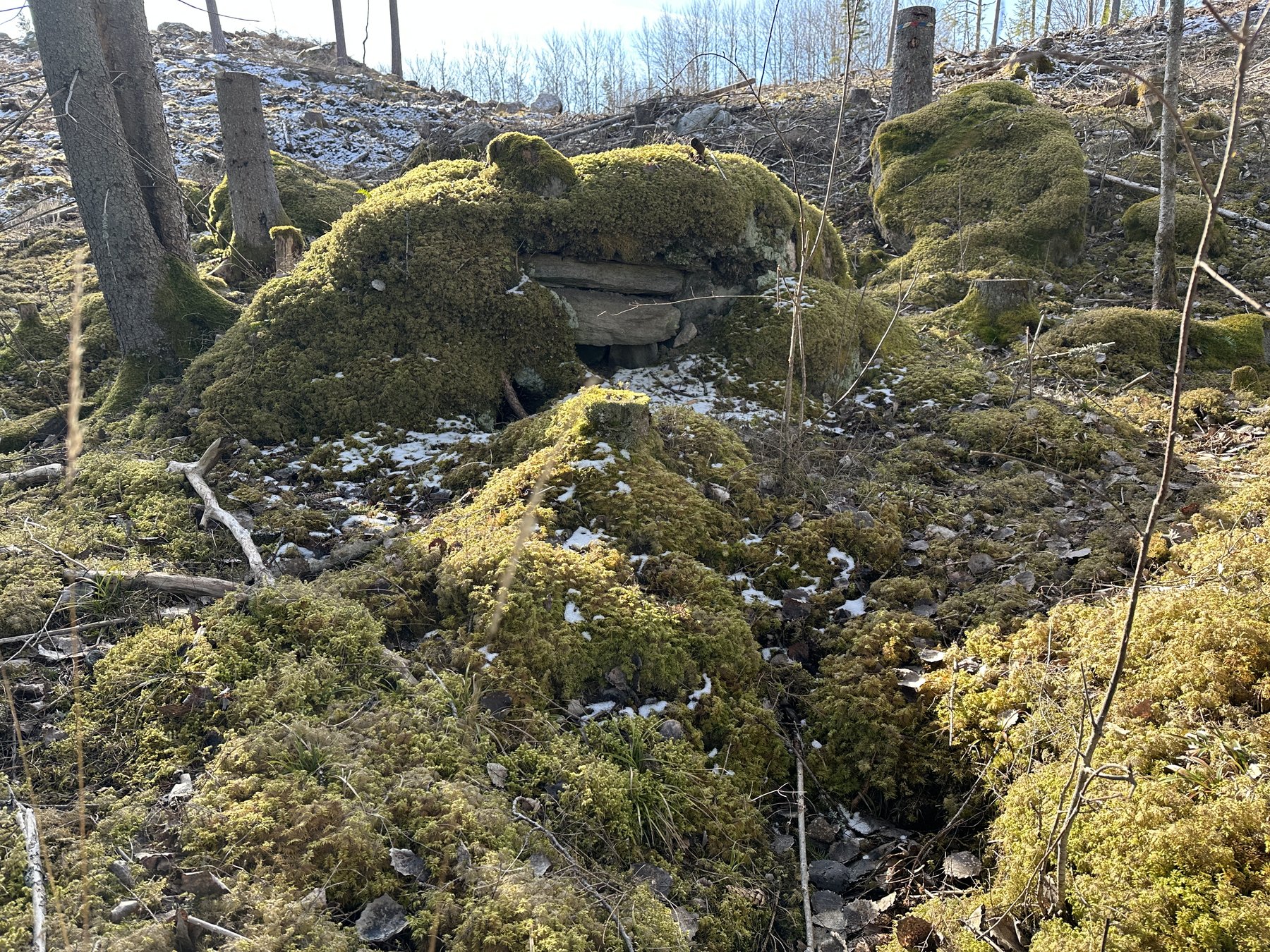 Lämning efter kolarkoja