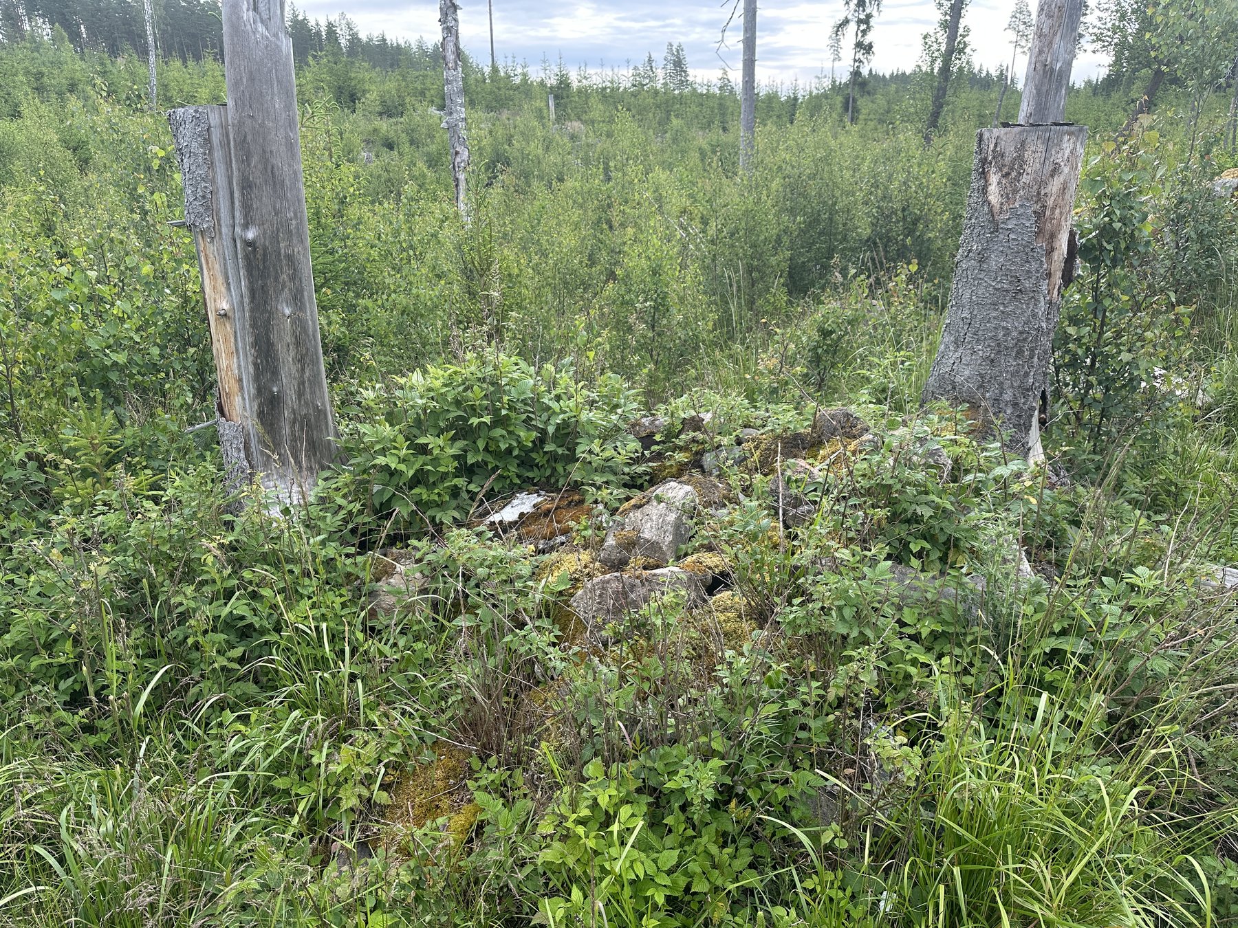 Lämning efter kolarkoja