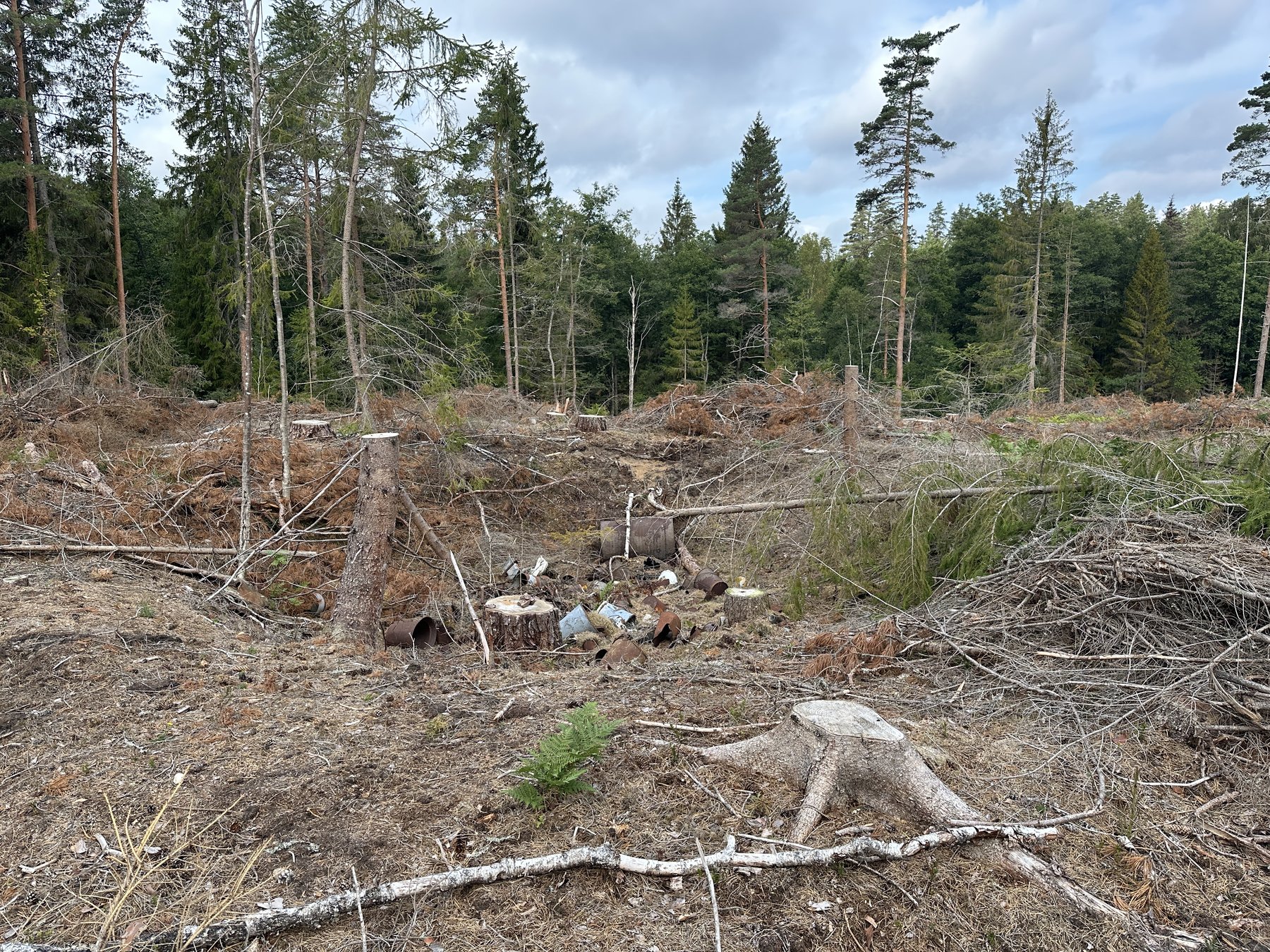 Lämning efter resmila