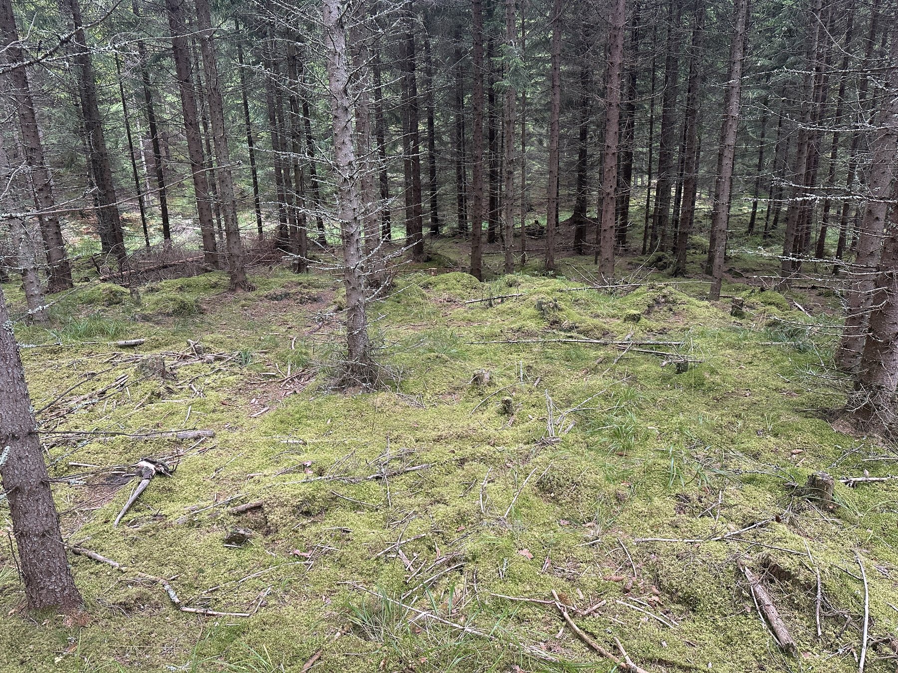 Lämning efter resmila/Kolbotten