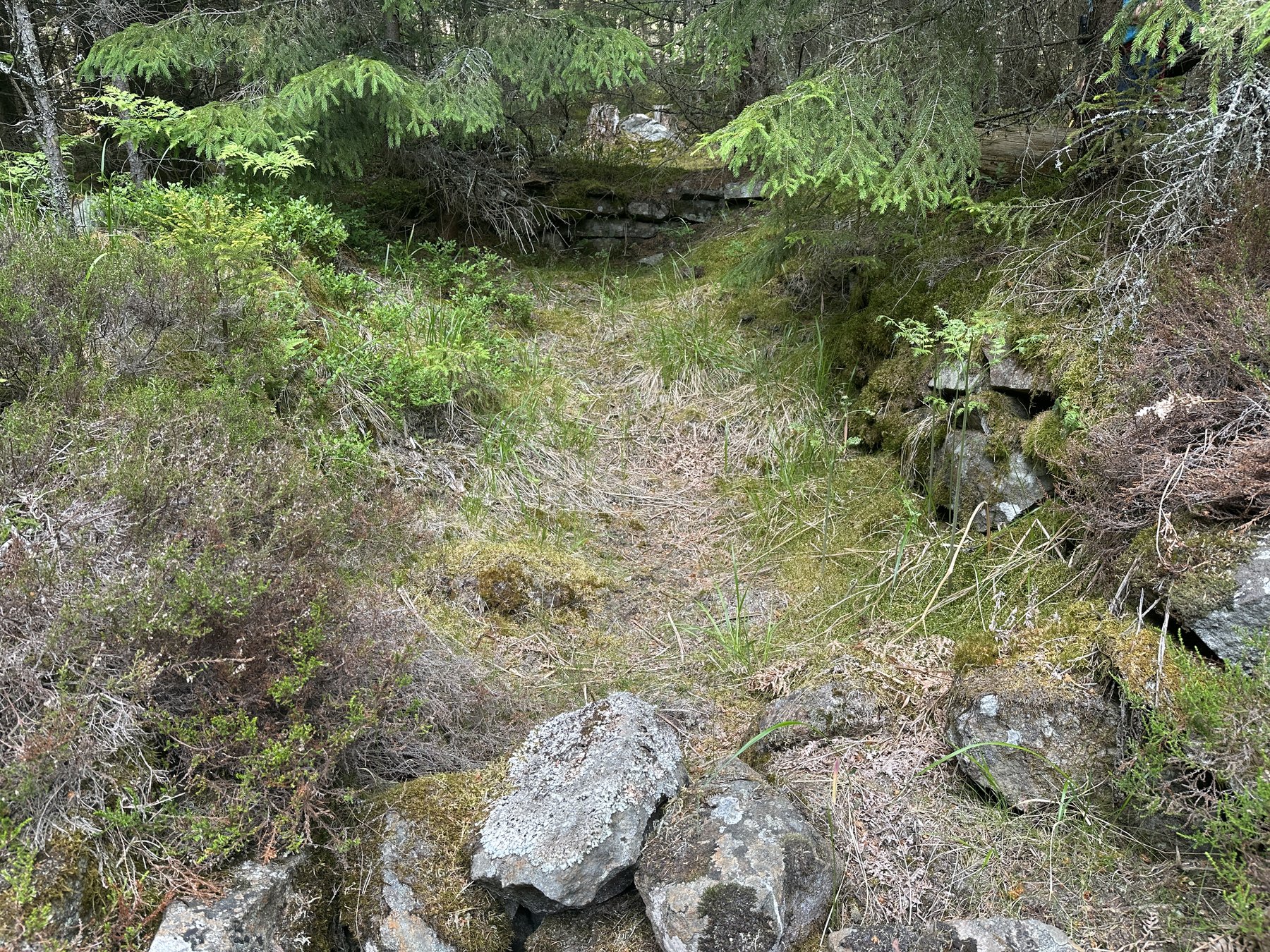 Tjärdal vid Mörtsjötorp