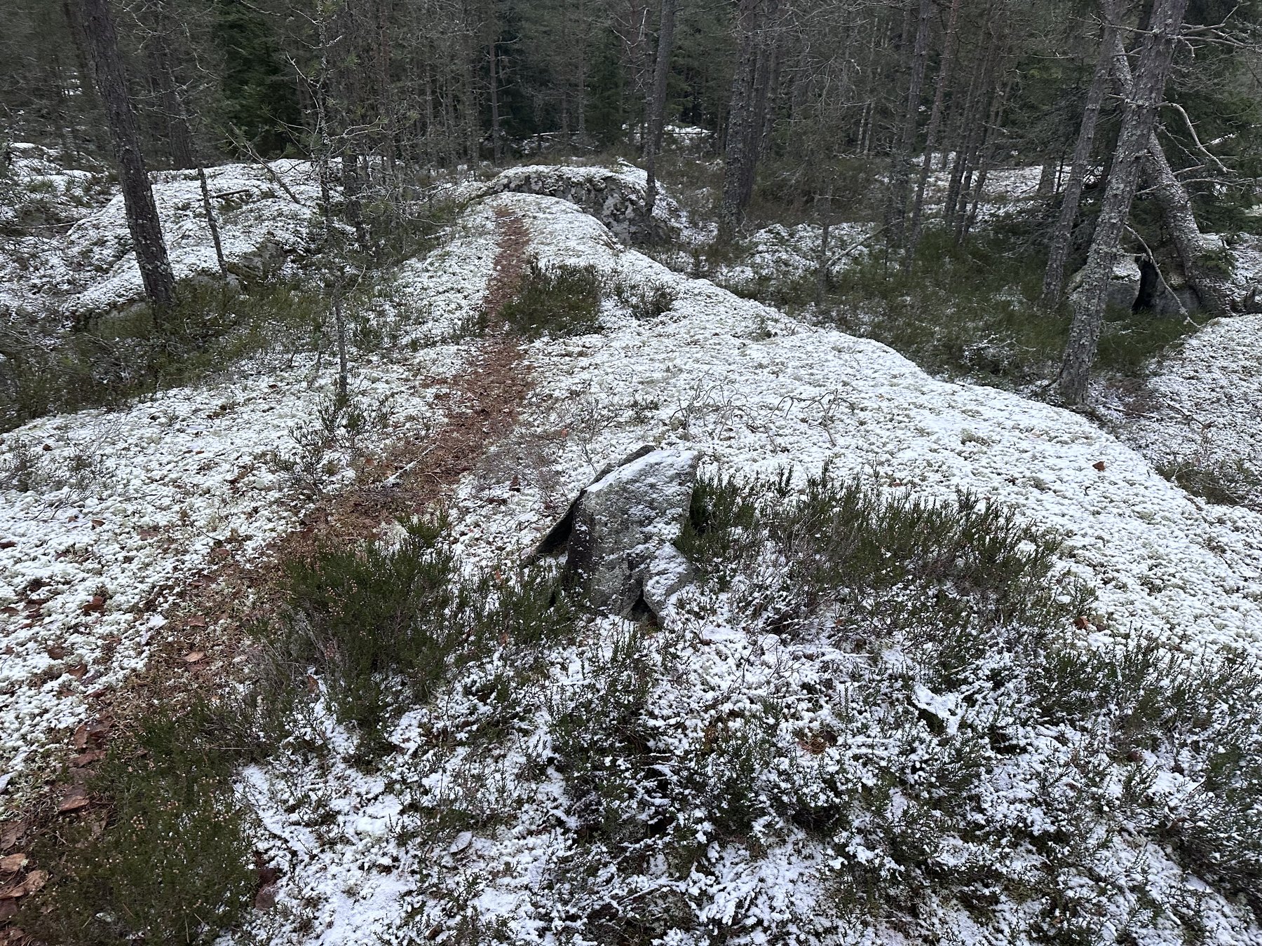 Stigmärke längs gammal stig väster om Björnhult